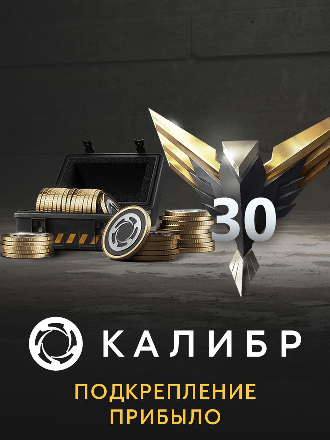 Калибр: Подкрепление прибыло