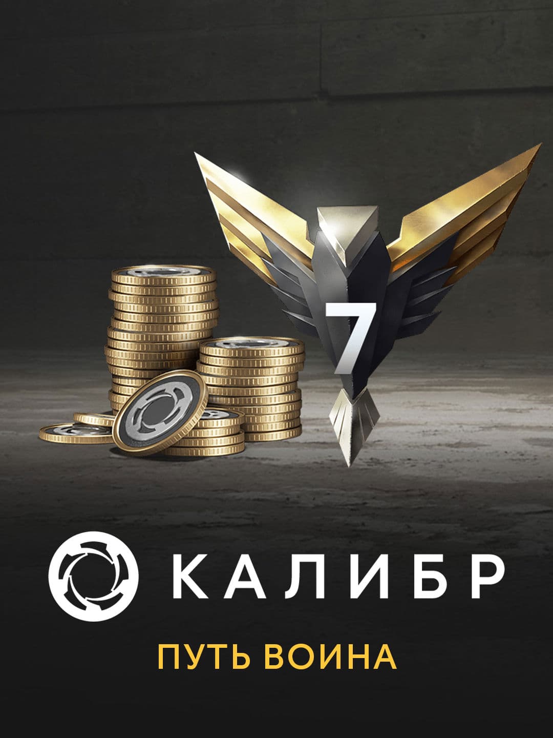 Калибр: Путь воина