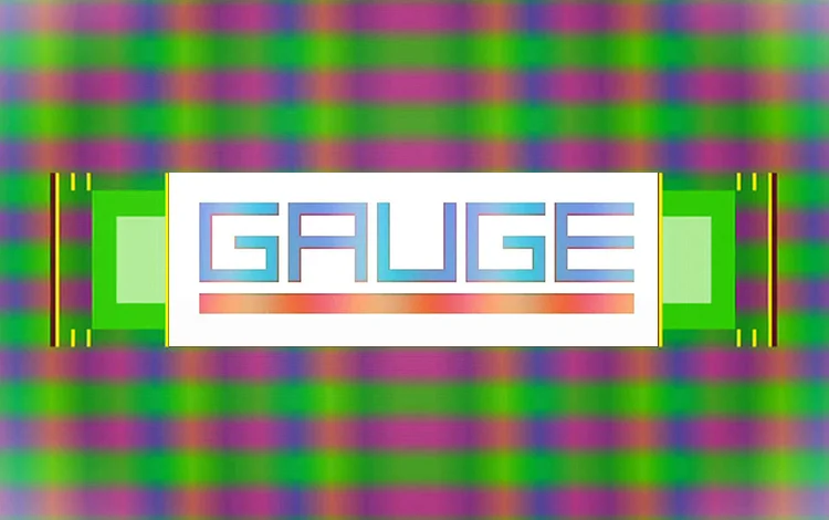Gauge