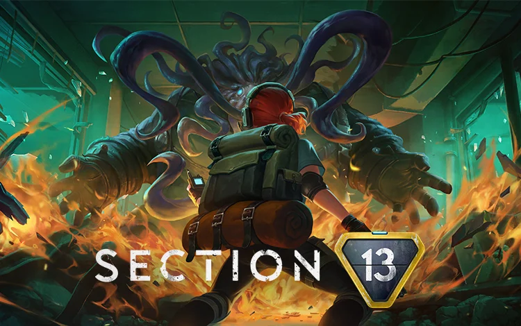 Section 13