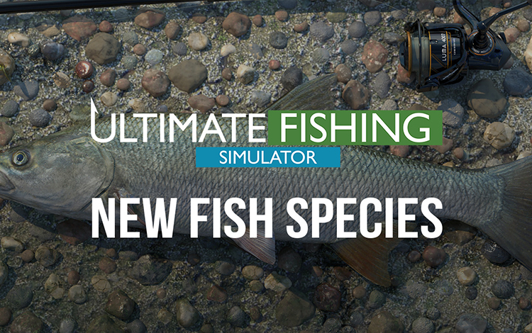 Ultimate Fishing Simulator - New Fish Species