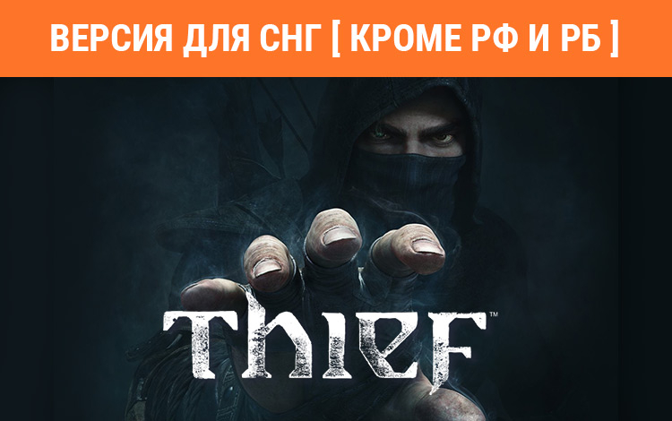 Thief