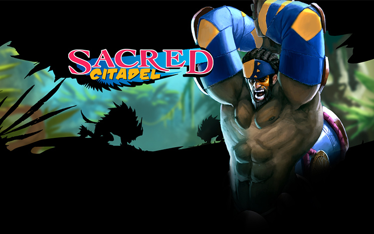 Sacred Citadel