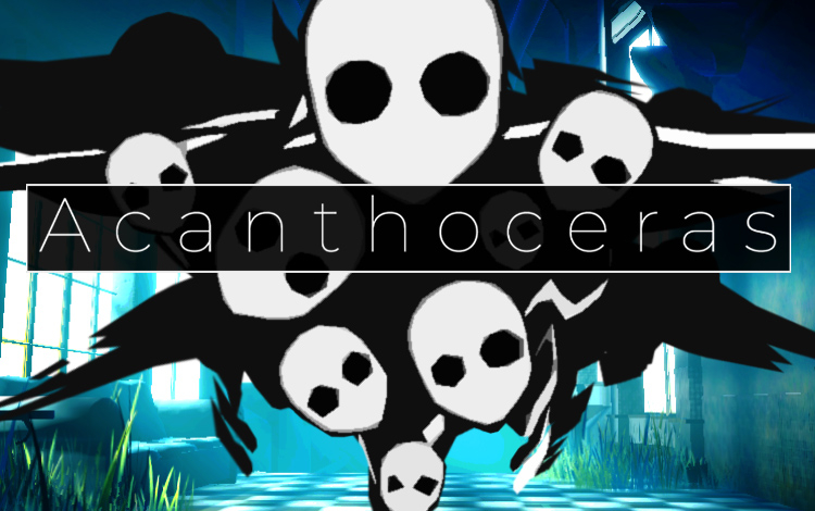 Acanthoceras