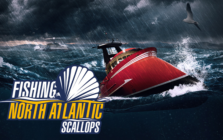 Fishing: North Atlantic - Scallops