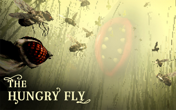 The Hungry Fly