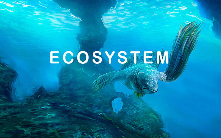 Ecosystem